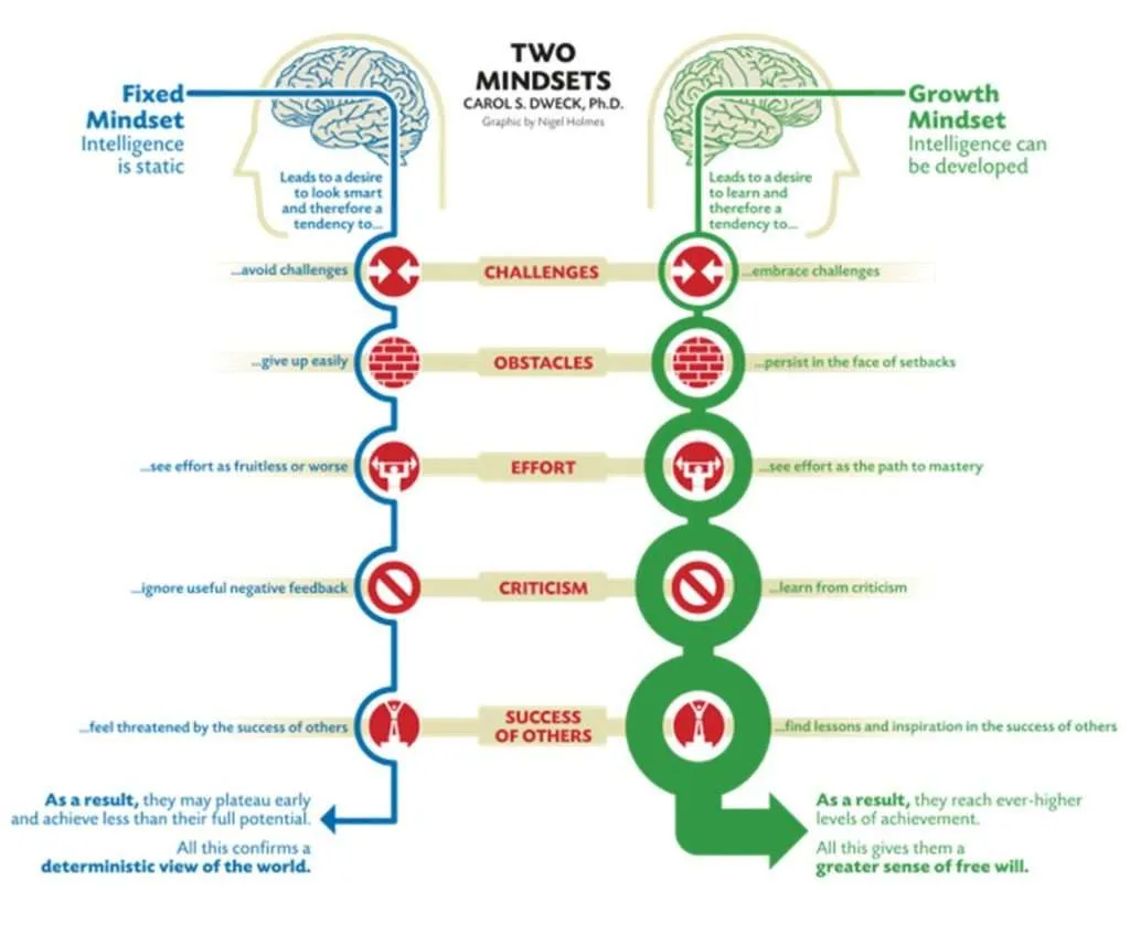 Visual van twee mindsets: Fixed Mindset en Growth Mindset, met hun verschillende reacties op uitdagingen, obstakels, inspanning, kritiek en succes van anderen.
